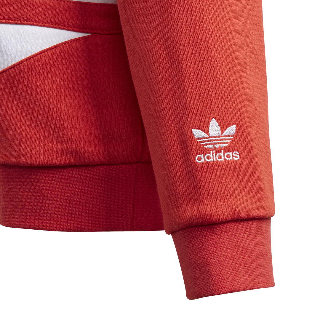 adidas bg trefoil hood