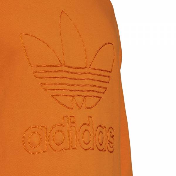 ADIDAS TS HOODY Q4 - H13503